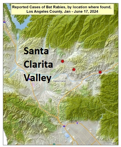 Map of rabid bats found in the Santa Clarita Valley area from January 1 to June 17, 2024