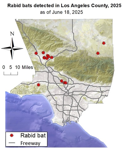 Map showing rabid bat detections in Los Angeles County since January 1, 2025