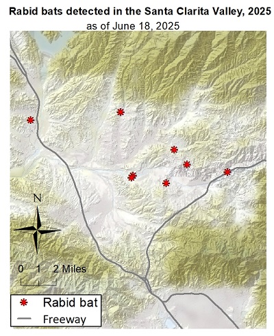 Map showing rabid bat detections in the Santa Clarita area of Los Angeles County since January 1, 2025