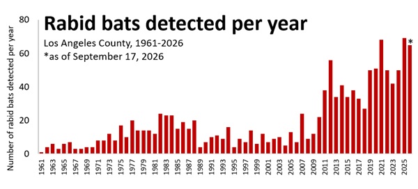 Graph - Los Angeles County rabid bats by year 1961-2026