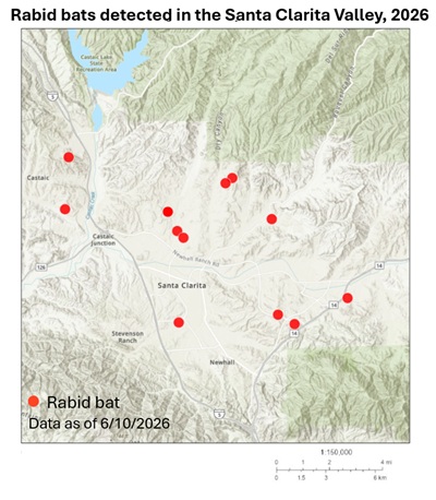Map showing rabid bat detections in the Santa Clarita area of Los Angeles County since January 1, 2026