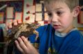 image of a boy with a turtle