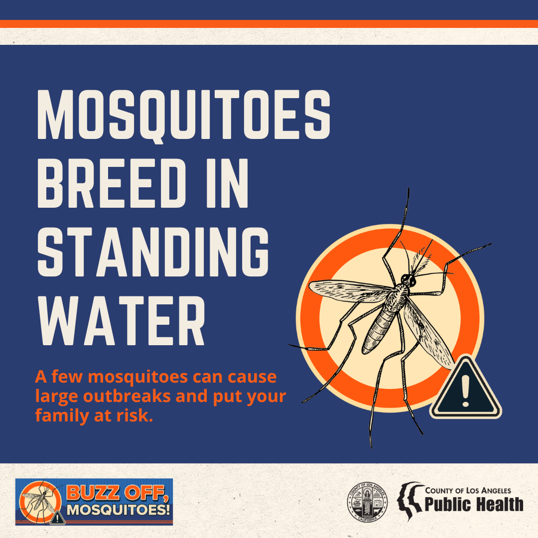 Mosquitoes Breed In Standing Water