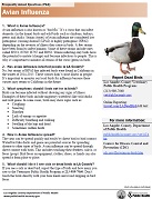 Asthma FAQ