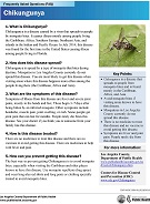 Chikungunya FAQ