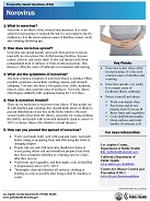 Norovirus FAQ