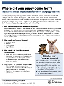 Know Where Your Puppy Came From