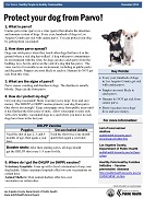 Protect Your Dog from Parvo!
