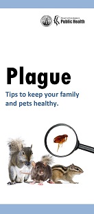 Plague FAQ
