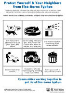 Protect Yourself and Your Neighbors from Flea-borne Typhus