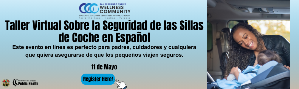 Spanish Car Seat Workshop
