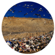 Landfill image for Environmental Odors and Health webinar