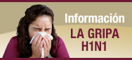 Informacion LA GRIPA H1N1