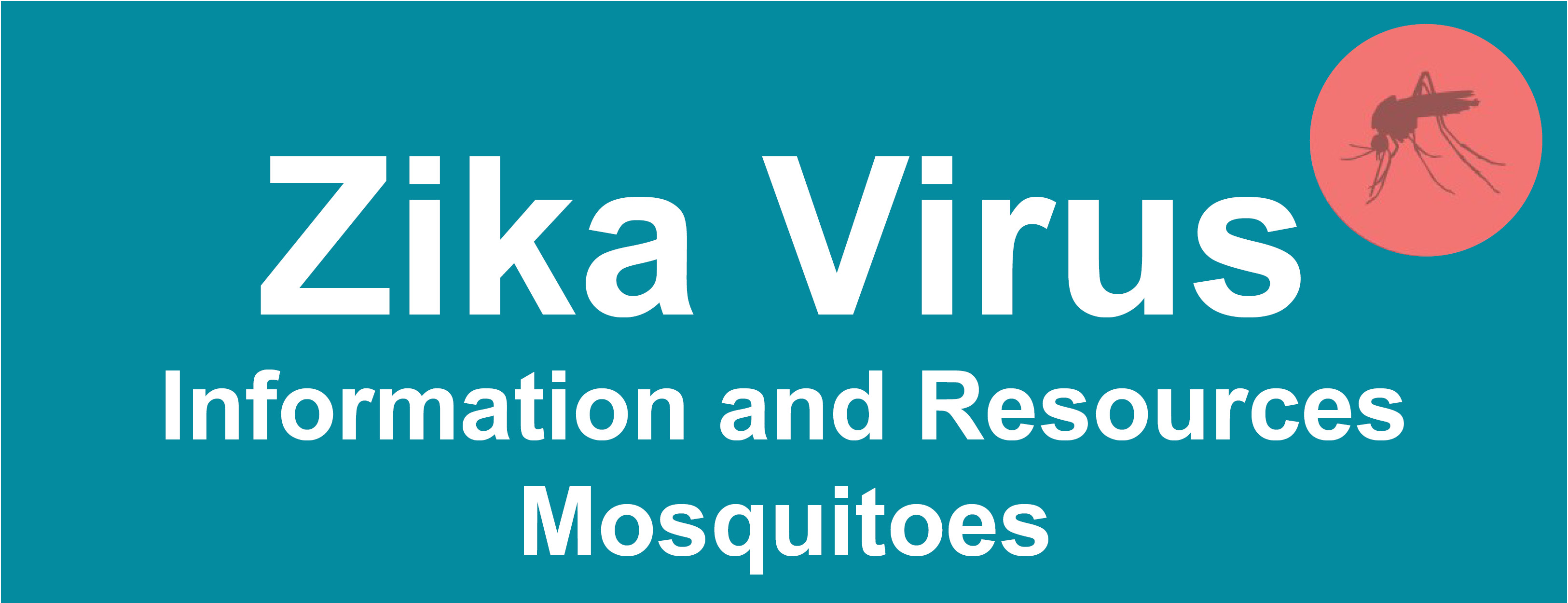 Zika Information on Mosquitoes