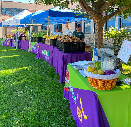 Produce Distribution Cerritos Farmers Market