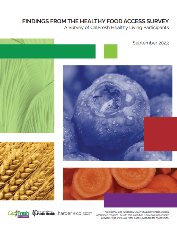 Findings from the Healthy Food Access