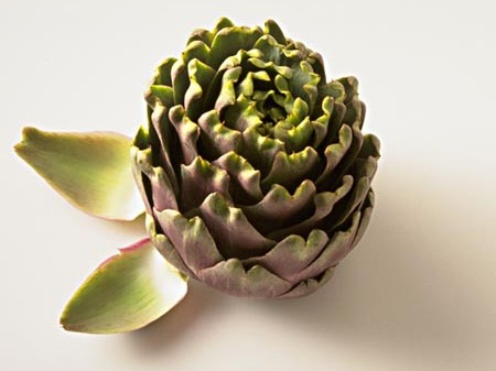 artichoke