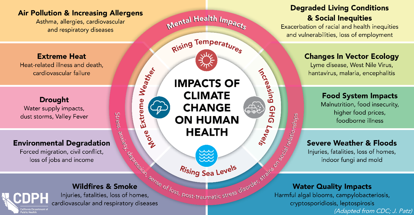 Impacts of Climate Change on Human Health Graph