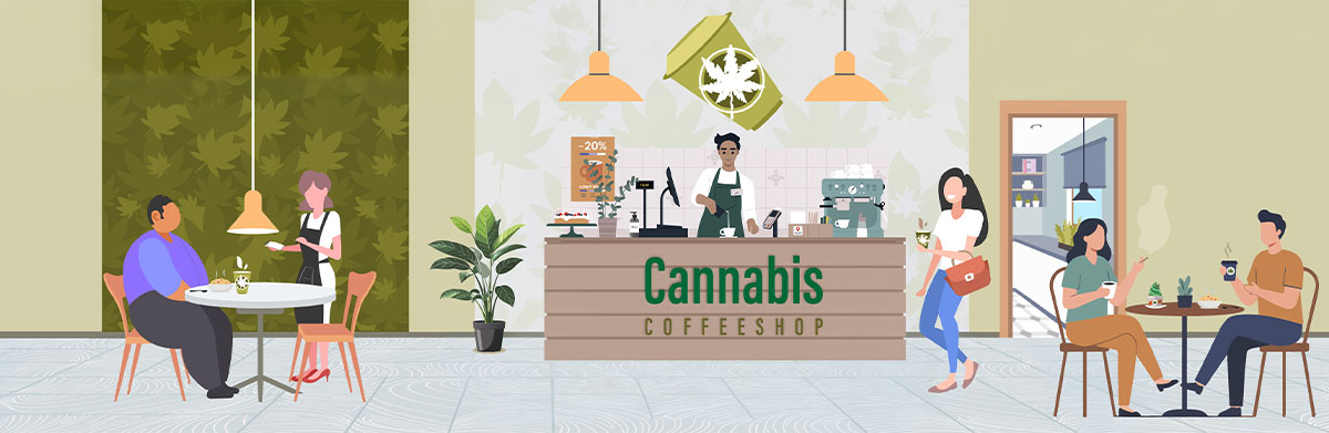 Learn about the health risk associated with cannabis cafes