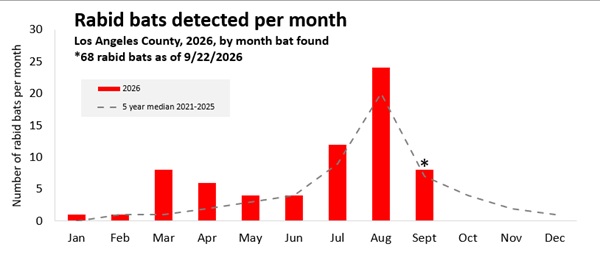 2025 graph - number of rabid bats per month in Los Angeles County