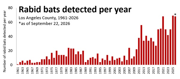 Graph - Los Angeles County rabid bats by year 1961-2026