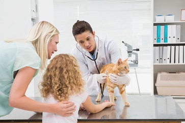 Visiting the Veterinarian With Your Pet (Grades 3–5)