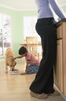 Bite Prevention at Home (Grades K–2)