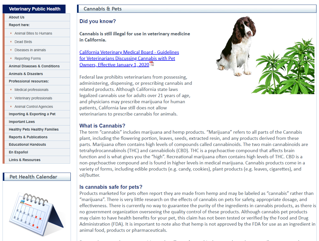 Cannabis and Pets