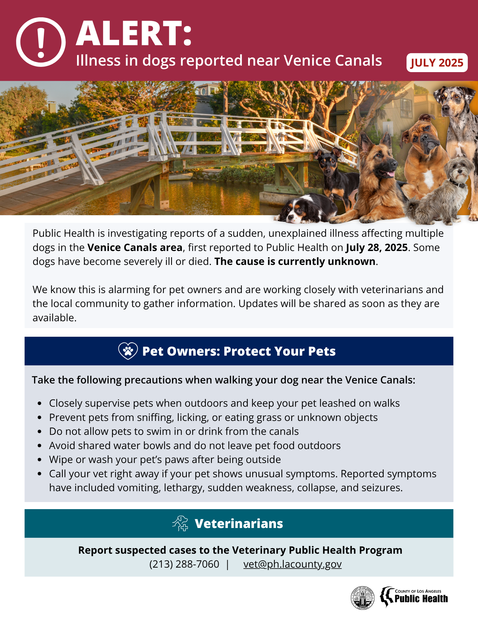 ALERT: Illness in dogs reported near Venice Canals