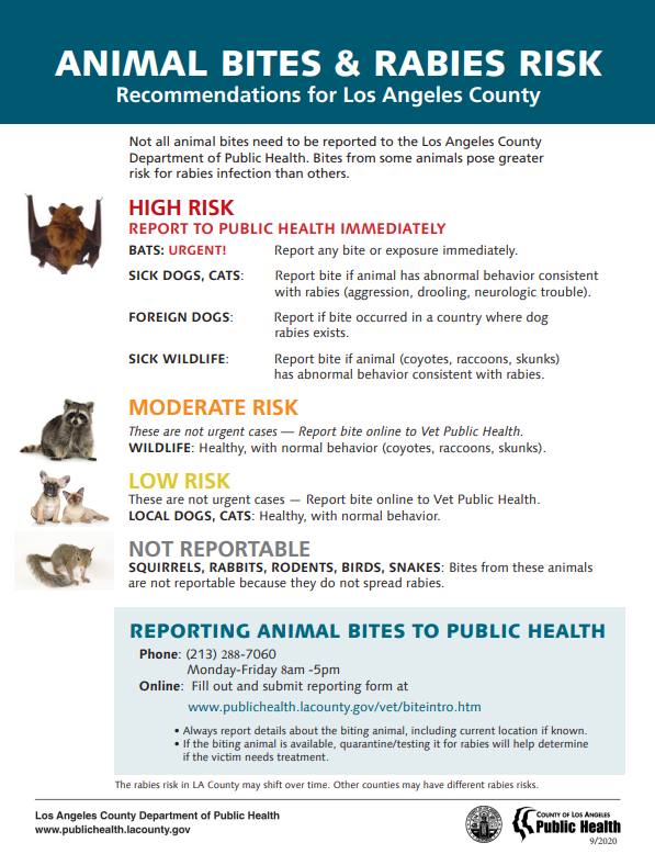 Animal Bites and Rabies Risk LA County thumbnail
